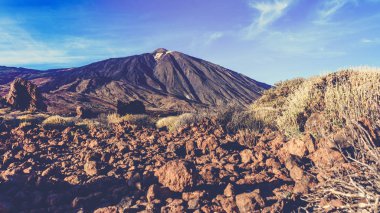 Teide Milli Parkı, Tenerife, Kanarya Adaları, İspanya. Volkan T
