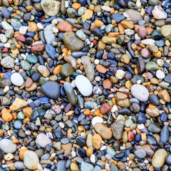 Kamienie na plaży. kamienne podłoże — Zdjęcie stockowe