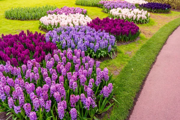 Tavaszi formális kert. Gyönyörű kertben színes virágok Jogdíjmentes Stock Képek