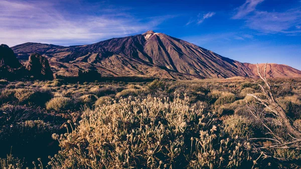 Teide nationalpark, Teneriffa, Kanarieöarna, Spanien. vulkan T — Stockfoto