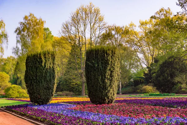 Mooi park in de stad met Lentebloemen, bomen en gras — Stockfoto
