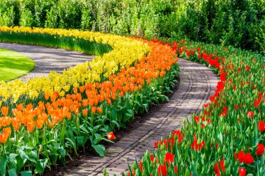 Bahar resmi Bahçe. Renkli çiçek güzel Bahçe