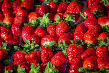 Taze çilek arka plan. tatlı çilek