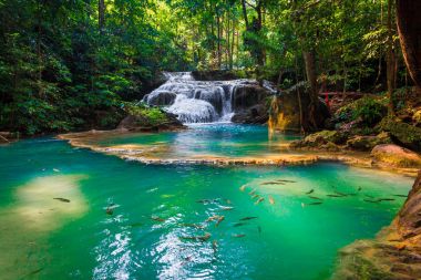 Şelale. Güzel manzara şelale peyzaj