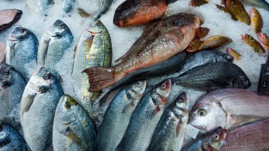 Balık pazarı. Dorado balığı buz arka plan üzerinde