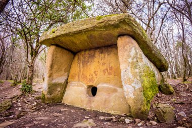 Dolmen ormanın içinde. Gelendzhyk, Rusya yakın