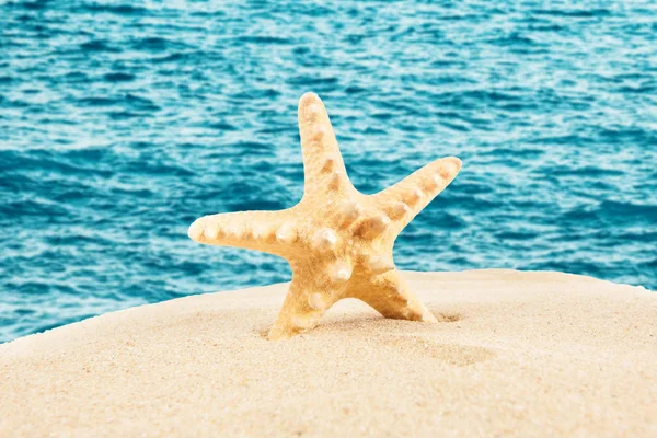 Estrella de mar en la playa de arena, concepto de viaje. Fondo de verano. Suma —  Fotos de Stock