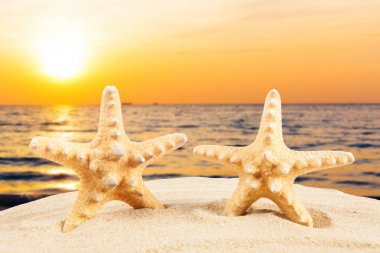 Yaz tatili. Seyahat kavramı arka plan