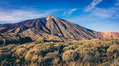 Teide Milli Parkı, Tenerife, Kanarya Adaları, İspanya. Volkan T