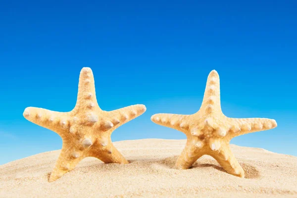 Estrella de mar en la playa de arena, concepto de viaje. Fondo de verano. Suma —  Fotos de Stock