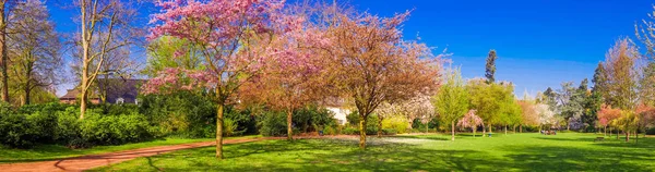 春の公園の風景。公園の全景 ストック写真