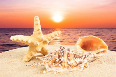Yaz tatil kavramı. Yaz tatil plaj sahil. Summer