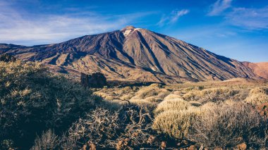 Teide Milli Parkı, Tenerife, Kanarya Adaları, İspanya. Volkan T