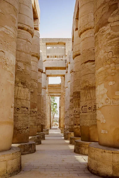 Kolumny w hol kolumnowy świątyni w Karnaku, Luxor, EG — Zdjęcie stockowe