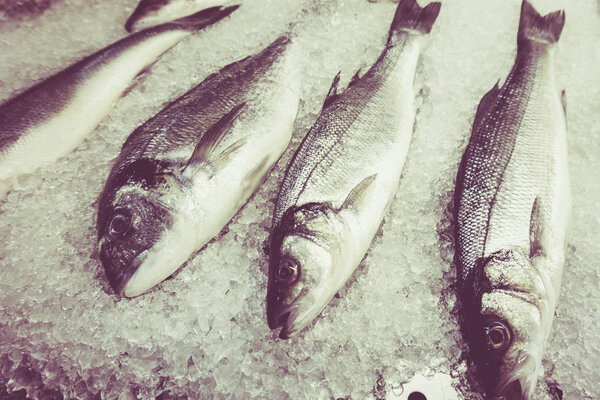 fresh fish on ice. Vintage Retro Filter