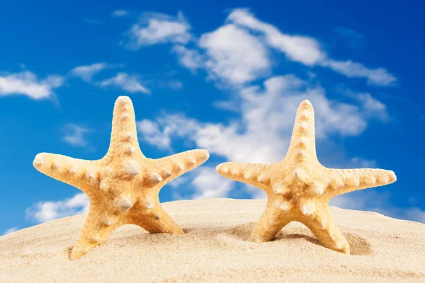 Estrella de mar en la playa de arena, concepto de viaje. Fondo de verano. Suma — Foto de Stock