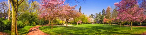 Krajobraz parku wiosny. Panoramiczny widok na park Zdjęcia Stockowe bez tantiem