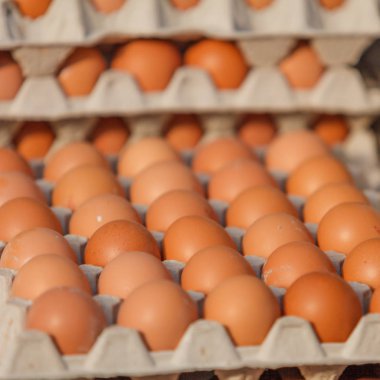 Pazarda taze yumurta.. 