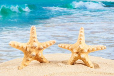 Yaz tatili. Seyahat kavramı arka plan