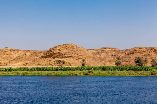 Mısır 'da Nil Nehri. Nil Nehri 'nde Yaşam — Stok fotoğraf