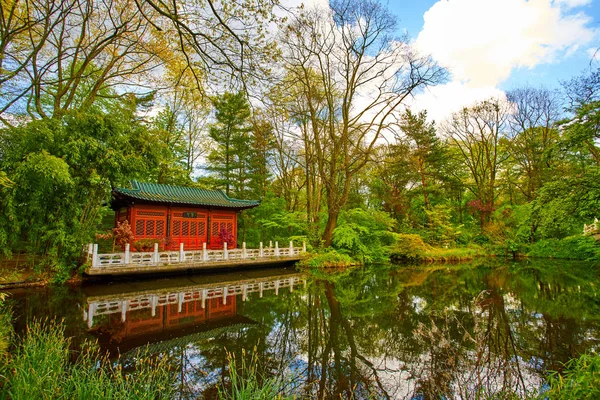 Japansk trädgård. Asiatisk trädgård med en damm — Stockfoto