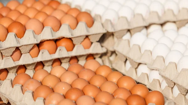 Świeże jaja na rynku. — Zdjęcie stockowe