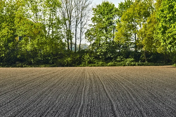 Landwirtschaft. Feld, Natur. Landwirtschaft im ländlichen Raum — Stockfoto