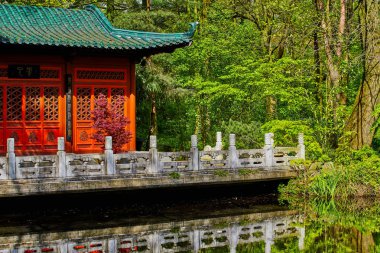 Asya Bahçe. Japon zen Bahçesi
