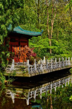 Asya Bahçe. Japon zen Bahçesi