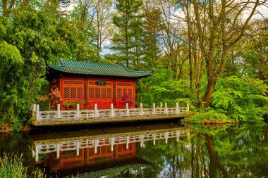 Japon bahçesi. Bir su birikintisi ile Asya Bahçe