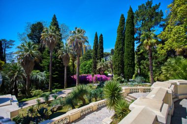 Soçi, Rusya, 12 Mayıs 2017: Botanik Bahçesi Park - Rotunda. Botanik Bahçesi