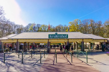 Lisse, Hollanda - 16 Nisan 2016: Keukenhof çiçek Park, 