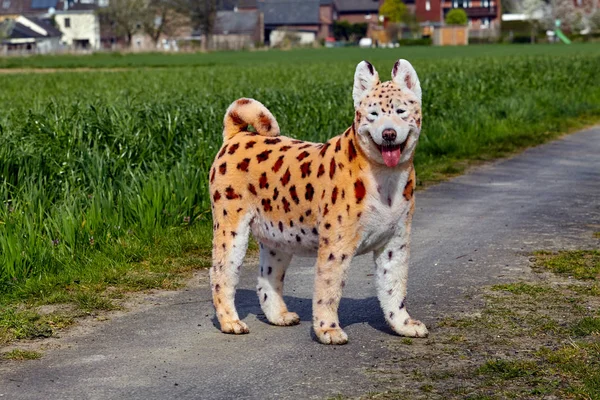 Pes, samojed. malované zvíře. namaloval pes — Stock fotografie