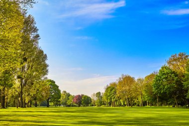 yeşil çim alan çayır. manzara panorama