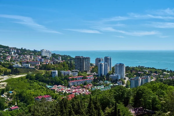 Sochi havadan görünümü. Rusya