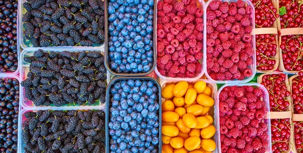 Kosze owoców na rynku. mieszanych owoców jagodowych. kolorowe berr Bio — Zdjęcie stockowe
