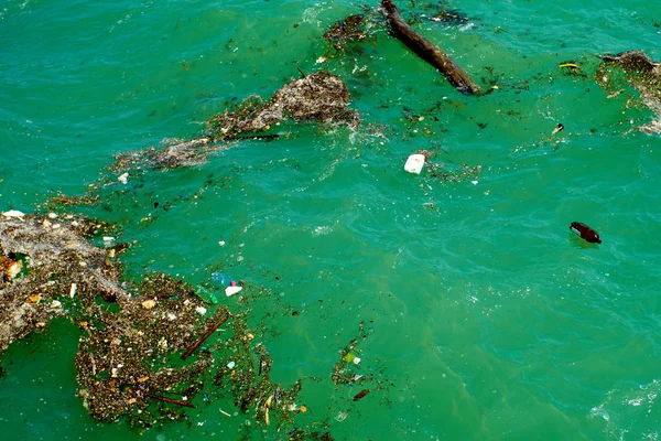 Brudne morze z kosza. Plastikowe zanieczyszczenia w ocean — Zdjęcie stockowe