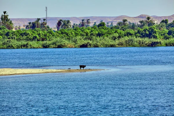 Rio Nilo no Egito. bela paisagem — Fotografia de Stock