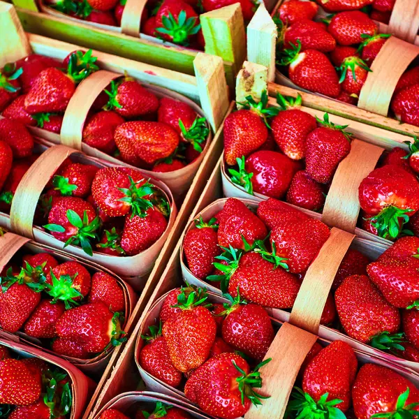 Strawberry. Fresh ripe  strawberry — Stock Photo, Image