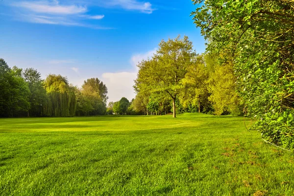 Grönt gräs fält äng. liggande panorama — Stockfoto