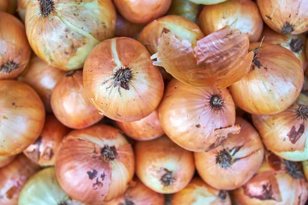 Fresh onions. Onions background. Ripe onions. Onions in market — Stock Photo, Image