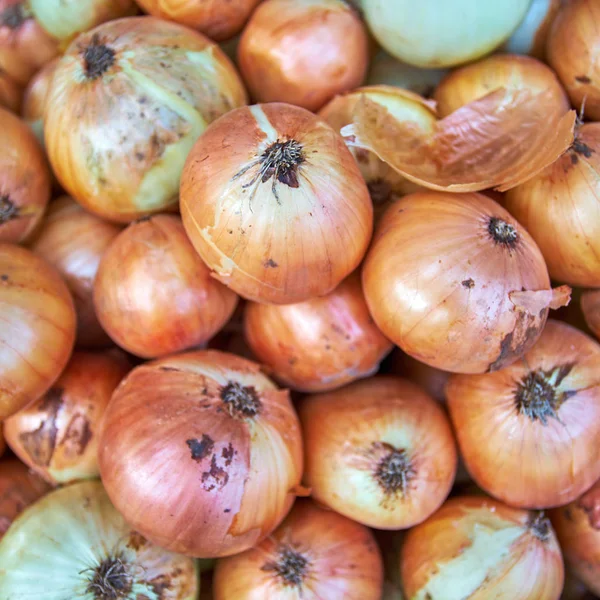 Cebollas frescas. Fondo de cebollas. Cebollas maduras. Cebollas en el mercado — Foto de Stock