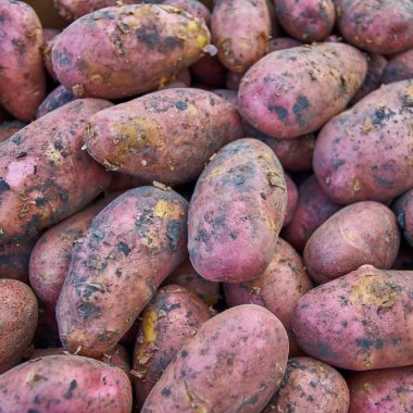 patates. Grup markette patates