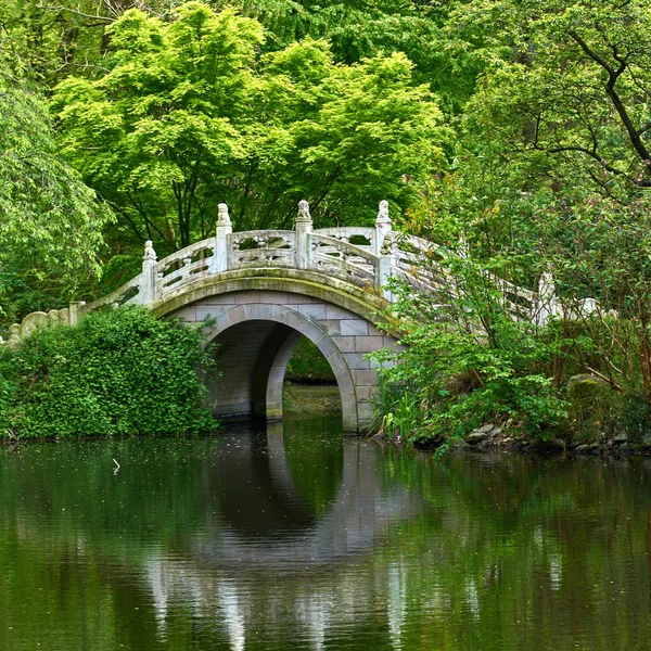 Hermoso jardín japonés con estanque y puente . — Foto de Stock