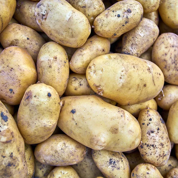 Batata. Grupo de batatas no mercado — Fotografia de Stock