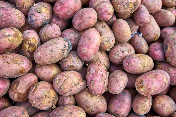 Taze organik patates. patates doku — Stok fotoğraf