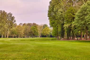 Şehir Parkı. Güzel bir park Panoraması