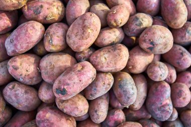 patates. Grup markette patates