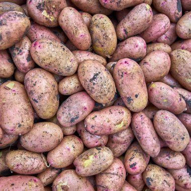 patates. Grup markette patates