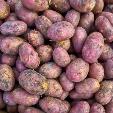 patates. Grup markette patates